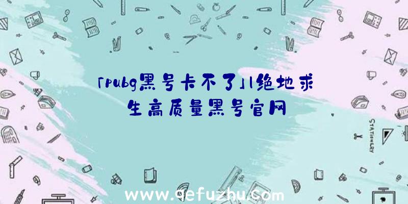 「pubg黑号卡不了」|绝地求生高质量黑号官网